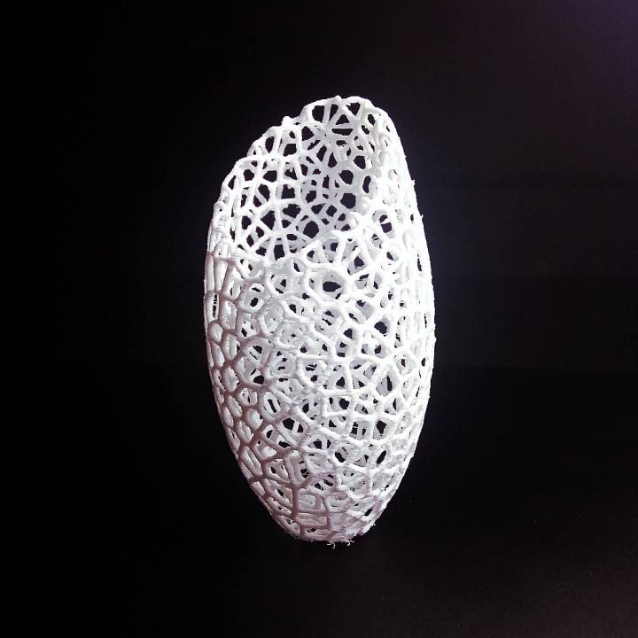 ángulo florero jardín Arte decoración voronoi 3D print model - Mito3D