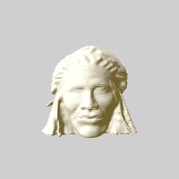 carter museum chief blackbird oglala sioux 3D print model - Mito3D