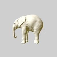 museo storia naturale elefante 3d print model - Mito3D