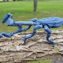 völlig artikuliert beten Gottesanbeterin Spielzeug Spielzeuge Spiele cool Krallen lehrreich Monster Wissenschaft einzigartig Insekten Fehler 3d print model - Mito3D