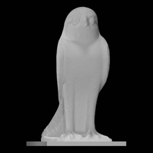 sparrowhawk scan animal 3d print model - Mito3D