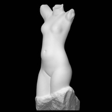 torso scansione donna metà corpo 3d print model - Mito3D