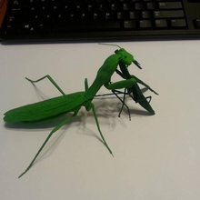 lady mantis enjoying aftercourse toys & games 3d print model - Mito3D