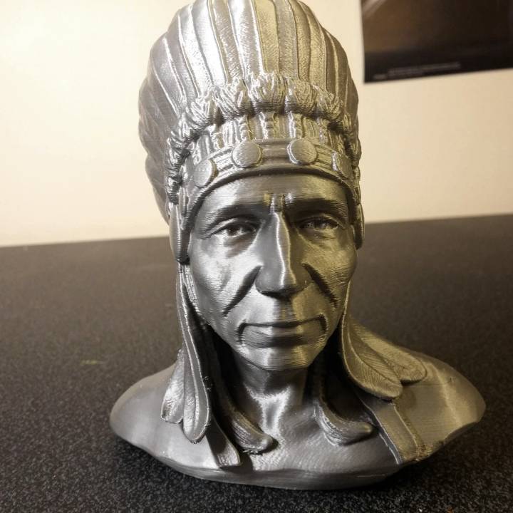 nativo americano fracasso Educação cara cabeça escultura zbrush personagem 3D print model - Mito3D