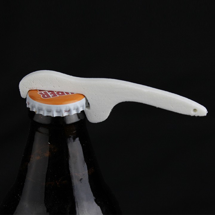 abrebotellas llavero jardín botella bottleopener bottlecap 3D print model - Mito3D