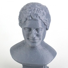 va & garden bust sculpture evatoth 3d print model - Mito3D