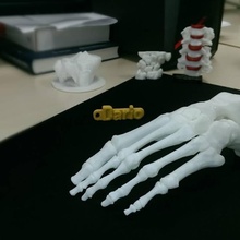 osso pé esquerda Educação anatomia ossos humano 3d print model - Mito3D