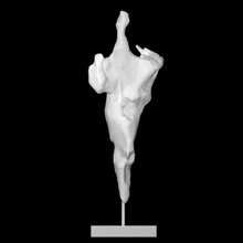 mary madgalene scan abstract 3d print model - Mito3D