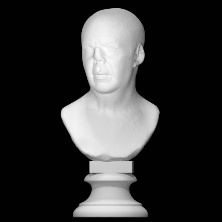 masculino retrato Varredura homem 3D print model - Mito3D