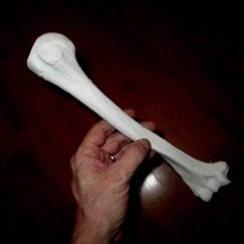 humérus OS Humain bras éducation anatomie corps os squelette biologie sports 3d print model - Mito3D