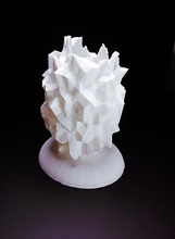 funky robo-kieran & garden 3d print model - Mito3D