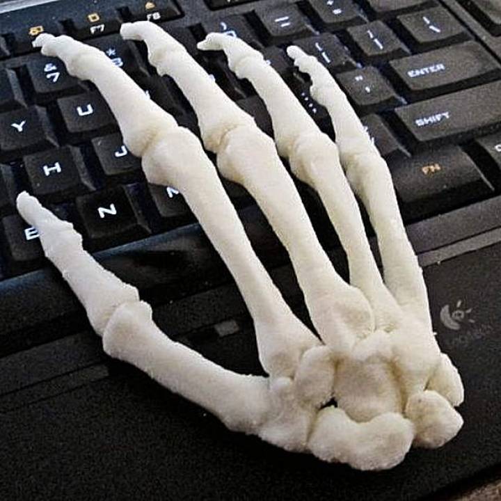 umano mano vasta scala assemblato formazione scolastica anatomia corpo ossatura scheletro biologia 3D print model - Mito3D