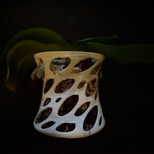 orchid vase & garden organic flower pot shape 3d print model - Mito3D