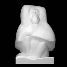 babbuino scansione animale primate Washington DC fullbody Smithsonian chiamante 3d print model - Mito3D