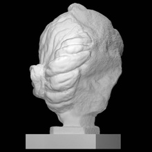 male head ideal features scan sculpture stone fragment tuff iconoclasm 3d print model - Mito3D