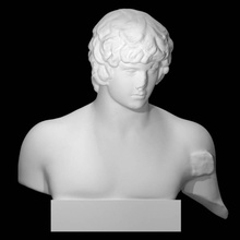 statue antinous scan man portrait 3d print model - Mito3D