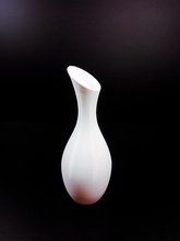 contemporary vase & garden flower decor 3d print model - Mito3D