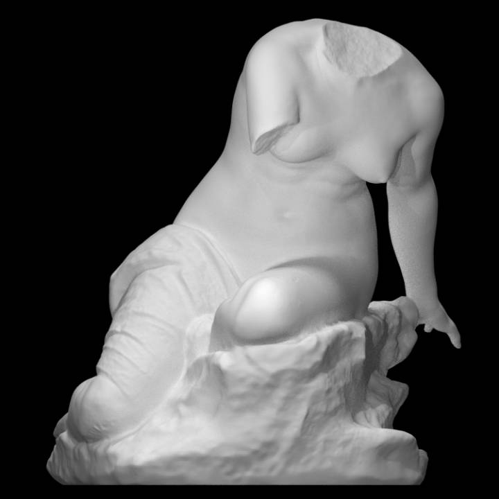femelle torse analyse femme demi corps 3D print model - Mito3D
