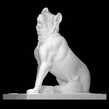 Molossi Hunde Scan Tier 3d print model - Mito3D