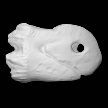 pendant deer tooth scan fullsize 3d print model - Mito3D