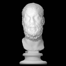 portrait macrinus scan man 3d print model - Mito3D