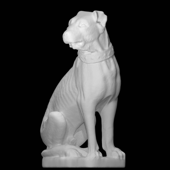 Hund Scan Tier Ganzkörper 3D print model - Mito3D