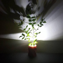ombre fonderie plante pot jardin art hexagone lampe LED lumière torsion tordu hexadécimal tinkercad jeter réflexion 3d print model - Mito3D