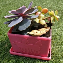plant tray horse bq 3d & garden tinkercad myminifactory madeintinkercad 3d print model - Mito3D