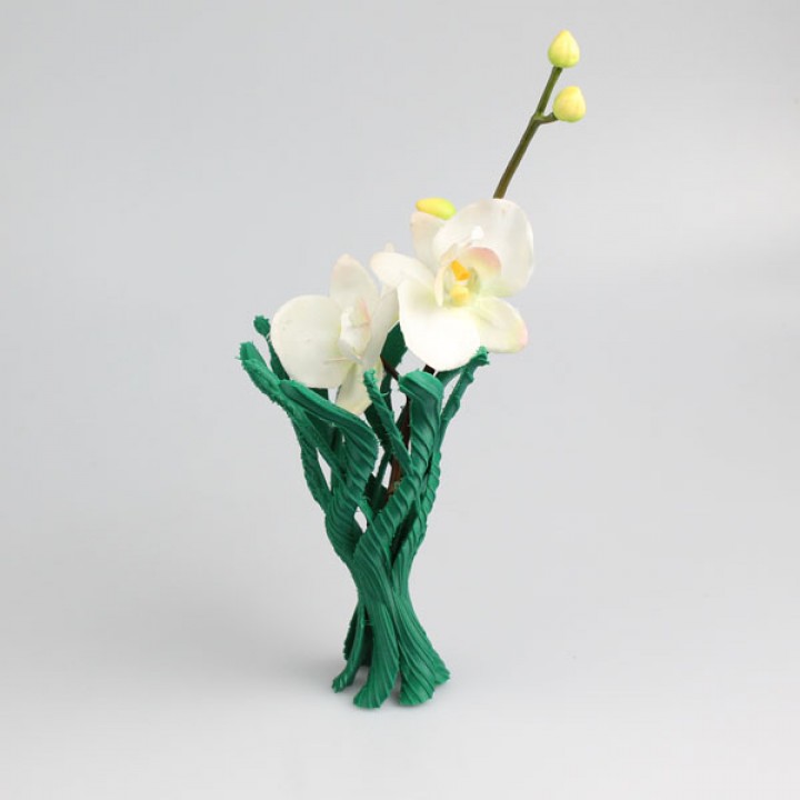 selvagem textura vaso jardim natureza productdesign concorrência natal 2014 gratuito 3D print model - Mito3D