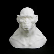 gorilla busto giardino animale natura organico 3d print model - Mito3D