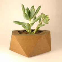 geo Topf Garten geometrisch Pentagon Pflanzen Basteln Ikosaeder madeintinkercad 3d print model - Mito3D