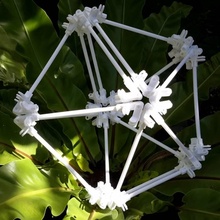 libertà struttura formazione scolastica geometria poliedro poliedri 3d print model - Mito3D