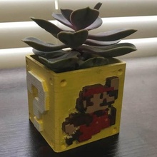 Mario mistero bloccare fioriera giardino nintendo supermario tinkercad 3d print model - Mito3D