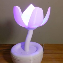 blooming flower 20 & garden children decoration lamp led light nursery nightlight decor rgb 3d print model - Mito3D