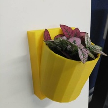 parede flor Panela pé jardim concorrência suspensão plantas tinkercad 3d print model - Mito3D