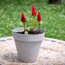 flor Panela jardim plantador cerâmica vaso flores pote barro 3d print model - Mito3D