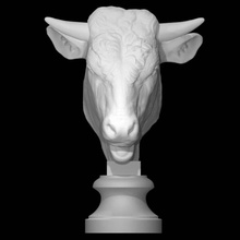 testa Toro scansione animale mucca marmo italiano Washington DC Milano milanese monti 3d print model - Mito3D