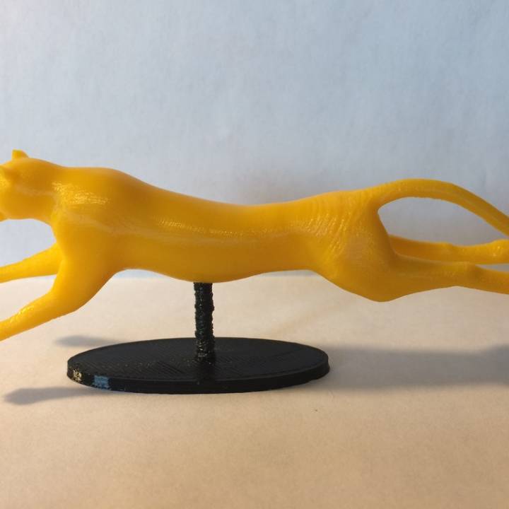 ghepardo in esecuzione giocattoli Giochi Africa gatto predatore 3D print model - Mito3D