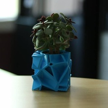 voronoi flower pot - cube shape & garden design architect 3d print model - Mito3D