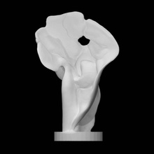 fortuna scan abstract fullsize 3d print model - Mito3D