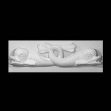 dolphin sarcophagus scan animal fullsize 3d print model - Mito3D