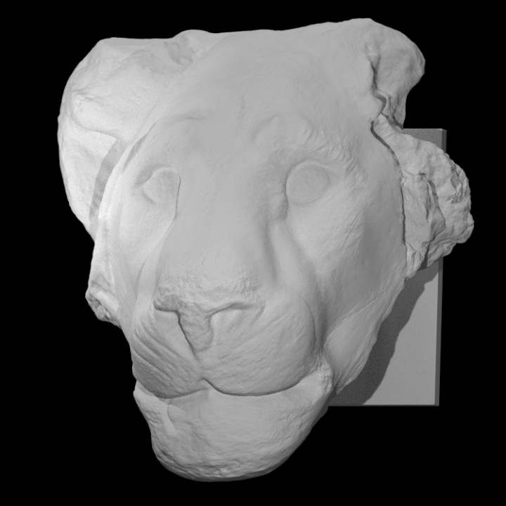 modelo leão cabeça Varredura animal 3D print model - Mito3D