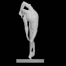 erkek anatomi taramak adam vücut 3d print model - Mito3D