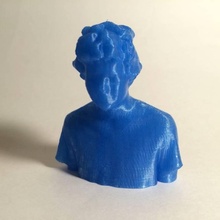 Eric Vancouver 3dscan Kopf to shirtcom Bildung Basteln 3d print model - Mito3D