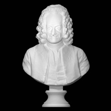 voltaire analyse buste homme marbre français philosophe Washington DC Houdon écrivain réalisme 3d print model - Mito3D
