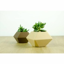 poly planter & garden flower pot vase wood lowpoly colorfabb bcn3d bcn3dsigma corkfill woodfill 3d print model - Mito3D