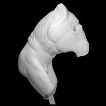 discobolo escanear busto hombre 3d print model - Mito3D