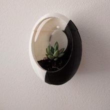 seed pot & garden tinkercad 3d print model - Mito3D