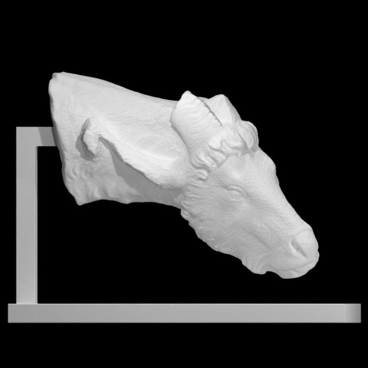 romano marmo testa capra scansione asta 3D print model - Mito3D