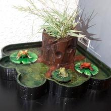 flower pot-froggy pond & garden tinkercad 3d print model - Mito3D